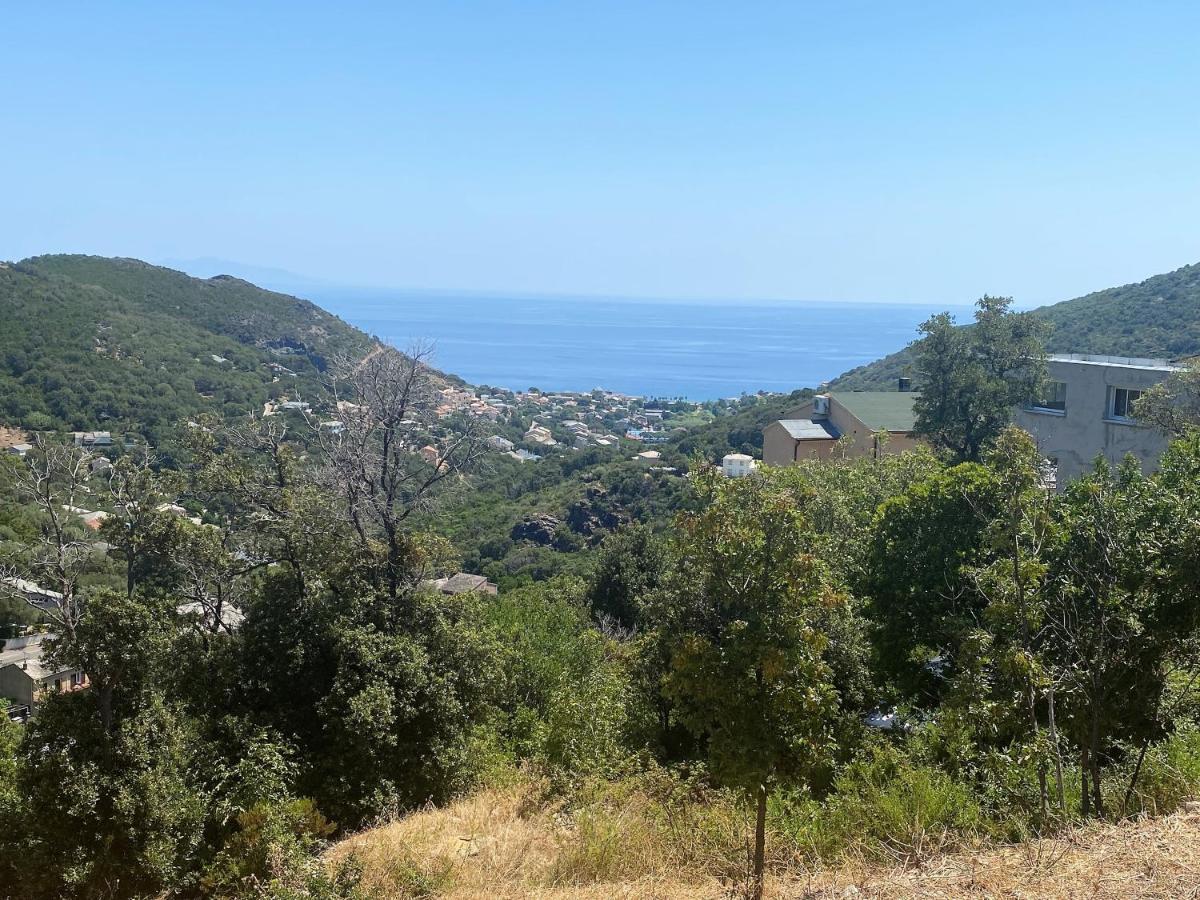 U Cavallu - Luxe Entre Mer Et Montagne Santa-Maria-di-Lota Eksteriør billede