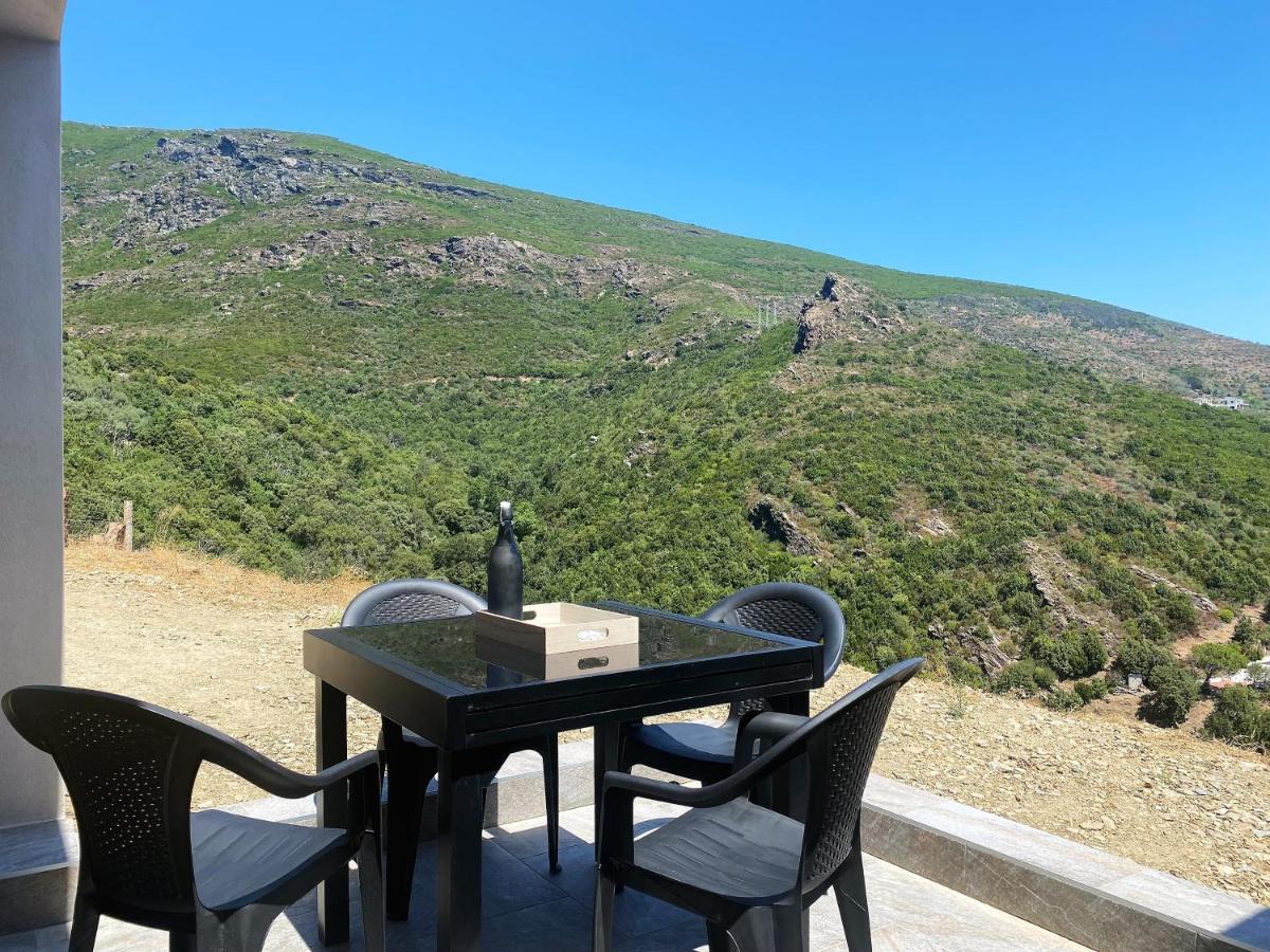 U Cavallu - Luxe Entre Mer Et Montagne Santa-Maria-di-Lota Eksteriør billede