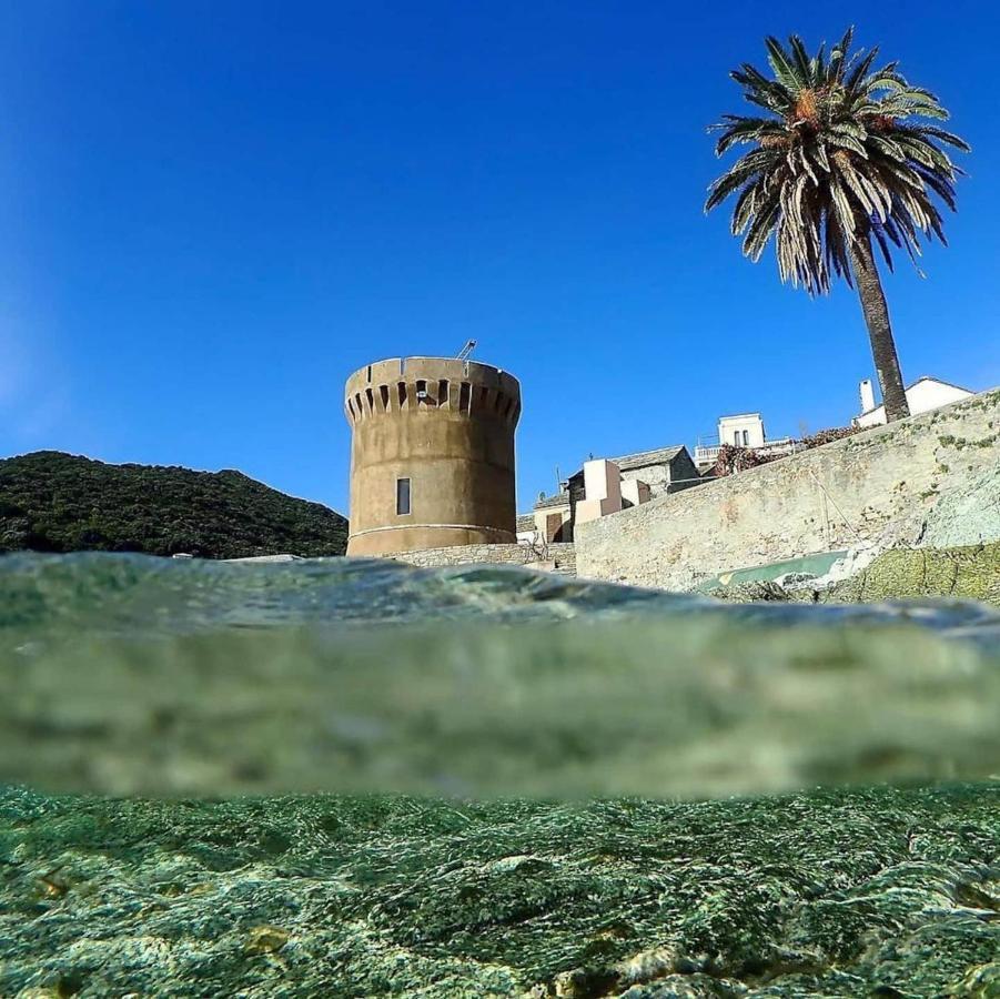 U Cavallu - Luxe Entre Mer Et Montagne Santa-Maria-di-Lota Eksteriør billede